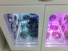 -佳雯宠物医院(四明中路分院)