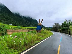 -万峰林风景区