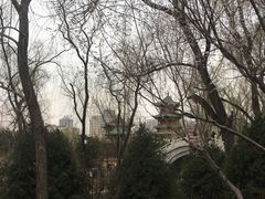 -迎泽公园