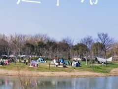-贡湖湾湿地公园