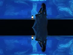-海合安武汉极地海洋公园