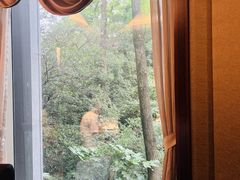 -御花园·粤菜·海鲜火锅(中山公园店)