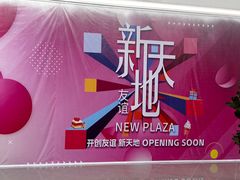 -友谊新天地广场(金街店)