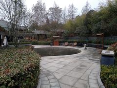 -楼观道温泉酒店