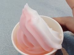 -皮记海鲜1995(寮步店)