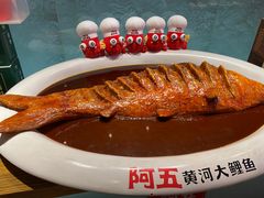 -阿五黄河大鲤鱼(英协路店)