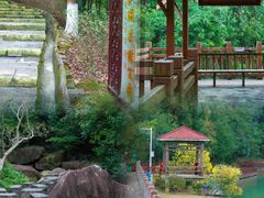 -广州白江湖森林公园