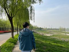 -洨河生态公园