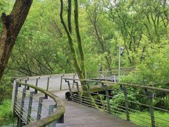 -西湖风景区-江洋畈生态公园