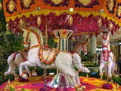 -拉斯维加斯永利酒店