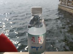 -西湖游船