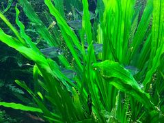 -上海海洋水族馆