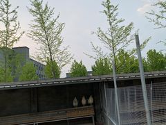 -意大利农场西餐厅(顺义店)