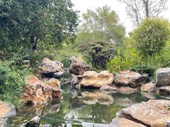 -东湖落雁景区