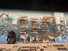 -浙江自然博物院(杭州馆)