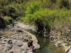 -宁波浙东大竹海景区