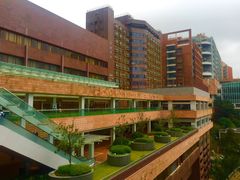 -香港大学