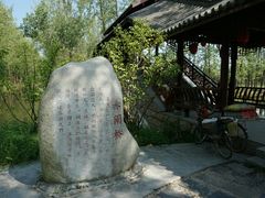 -合肥滨湖国家森林公园