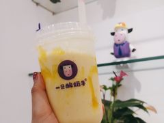-一只酸奶牛(八一路店)