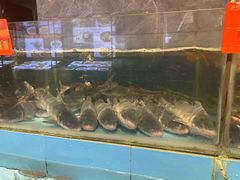 -饭怕鱼(阳光100店)
