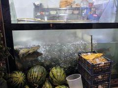 -肥鱼屯活鱼锅(惠工街店)