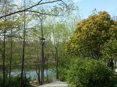 android_upload_pic-新江湾城公园