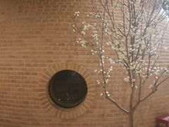 -纽斯桑拿会所(天山店)