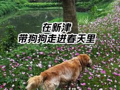 -白鹭湾湿地公园