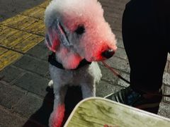 -非凡烧烤(历史博物馆店)