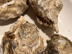 -雪熊哈尔滨烧烤·精酿啤酒·砂锅(中央胜境店)