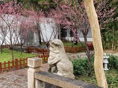 -苏州文庙(姑苏区)