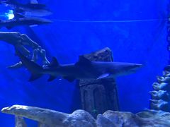 -波塞冬旅游度假区