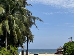 -海南清水湾莱佛士酒店