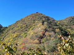 -大岭沟猕猴桃谷风景区