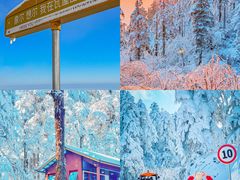-瓦屋山景区