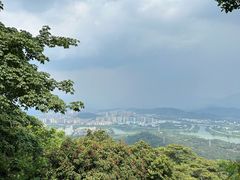 -风云岭森林公园