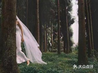 森系婚纱照// 如果有一种向往的爱情 那大概就像是树