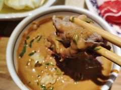 -东镇老火锅(长春路首店)