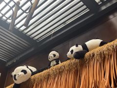 -了凡国风主题茶馆·咖啡(武侯祠锦里店)