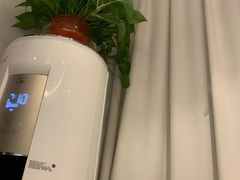 -梅花香里大酒店(郁金香路店)