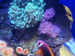 -成都浩海立方海洋公园