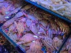 -渔民船说·北塘海鲜·天津菜·海肠捞饭(北塘古镇店)
