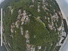 -东郊椰林