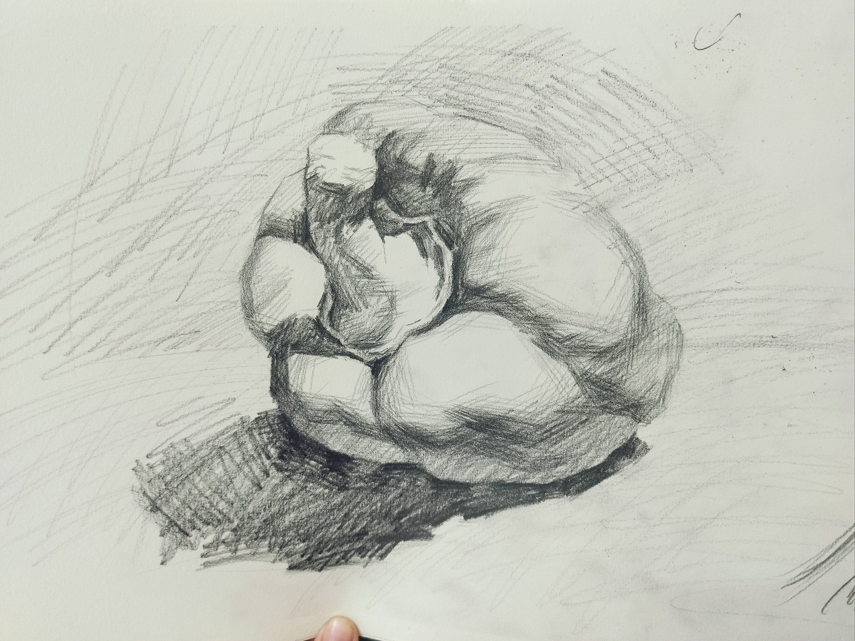 素描青椒大关系铺色