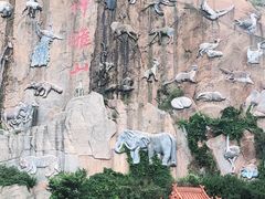 -西霞口神雕山野生动物世界