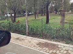 -秦皇岛野生动物园