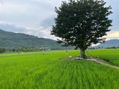 -风云岭森林公园