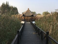 -沙家浜风景区