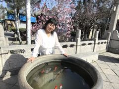 -西安化觉巷清真大寺