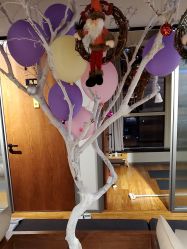 -FineYoga梵音瑜伽·普拉提